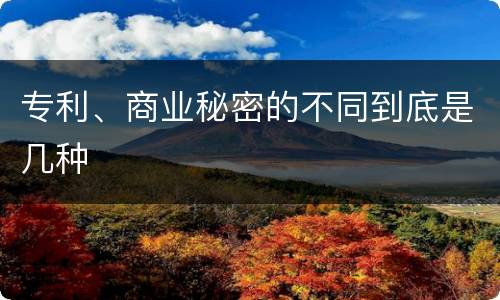 专利、商业秘密的不同到底是几种