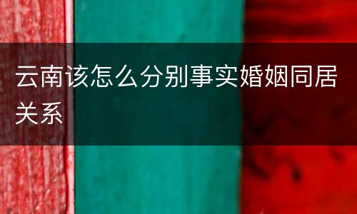 云南该怎么分别事实婚姻同居关系