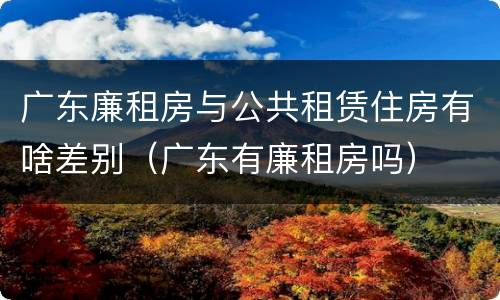 广东廉租房与公共租赁住房有啥差别（广东有廉租房吗）