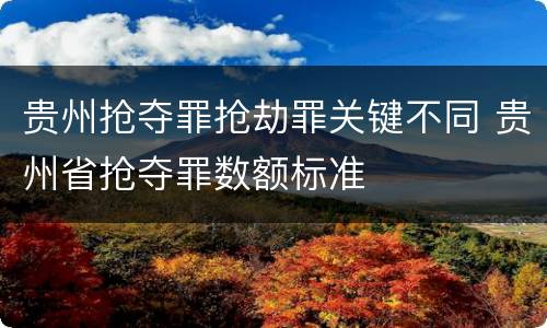 贵州抢夺罪抢劫罪关键不同 贵州省抢夺罪数额标准