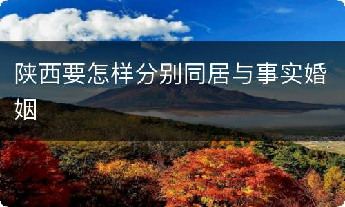 陕西要怎样分别同居与事实婚姻
