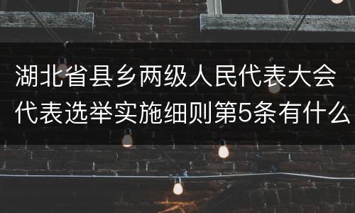 湖北省县乡两级人民代表大会代表选举实施细则第5条有什么规定