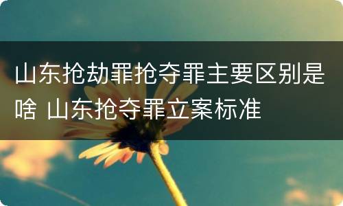 山东抢劫罪抢夺罪主要区别是啥 山东抢夺罪立案标准
