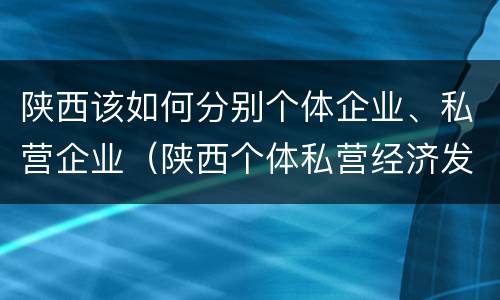 陕西该如何分别个体企业、私营企业（陕西个体私营经济发展综合服务平台）