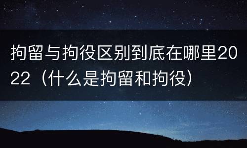 拘留与拘役区别到底在哪里2022（什么是拘留和拘役）