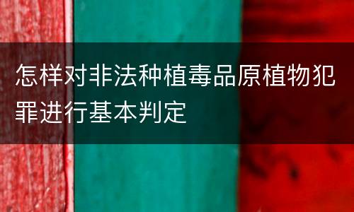 怎样对非法种植毒品原植物犯罪进行基本判定