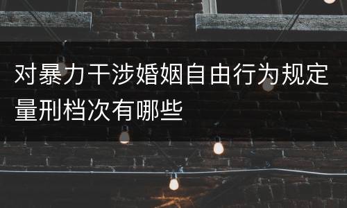 对暴力干涉婚姻自由行为规定量刑档次有哪些