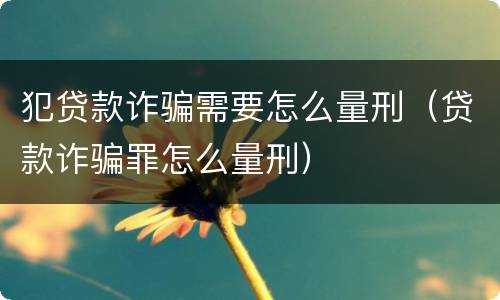 犯贷款诈骗需要怎么量刑（贷款诈骗罪怎么量刑）