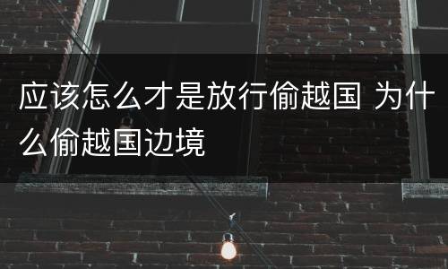 应该怎么才是放行偷越国 为什么偷越国边境