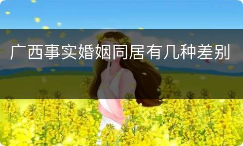 广西事实婚姻同居有几种差别