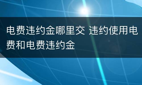电费违约金哪里交 违约使用电费和电费违约金
