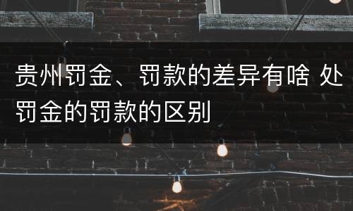 贵州罚金、罚款的差异有啥 处罚金的罚款的区别