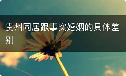 贵州同居跟事实婚姻的具体差别