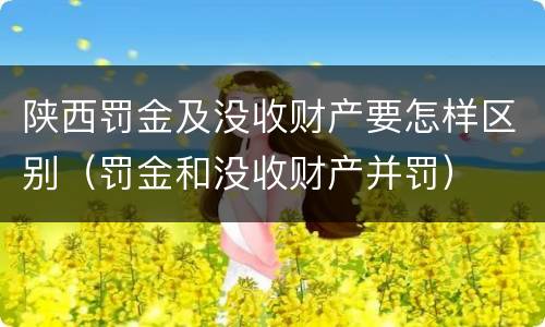 陕西罚金及没收财产要怎样区别（罚金和没收财产并罚）