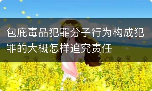 包庇毒品犯罪分子行为构成犯罪的大概怎样追究责任