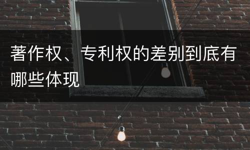 著作权、专利权的差别到底有哪些体现