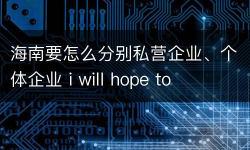 海南要怎么分别私营企业、个体企业 i will hope to