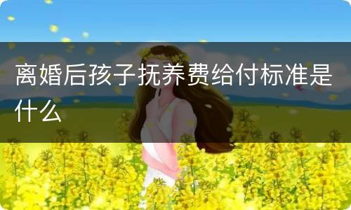 离婚后孩子抚养费给付标准是什么