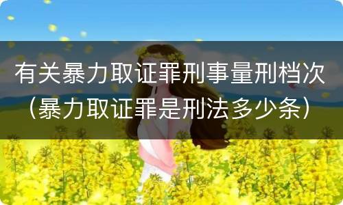 有关暴力取证罪刑事量刑档次（暴力取证罪是刑法多少条）