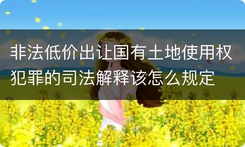 非法低价出让国有土地使用权犯罪的司法解释该怎么规定