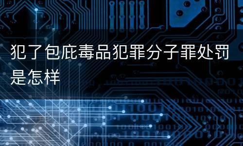 犯了包庇毒品犯罪分子罪处罚是怎样