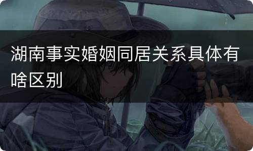 湖南事实婚姻同居关系具体有啥区别
