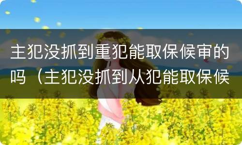 主犯没抓到重犯能取保候审的吗（主犯没抓到从犯能取保候审吗）