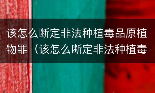 该怎么断定非法种植毒品原植物罪（该怎么断定非法种植毒品原植物罪行）