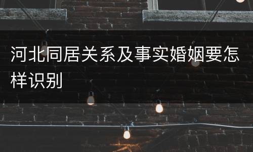 河北同居关系及事实婚姻要怎样识别