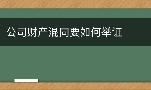 公司财产混同要如何举证