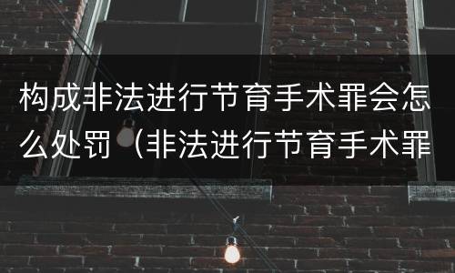 构成非法进行节育手术罪会怎么处罚（非法进行节育手术罪司法解释）