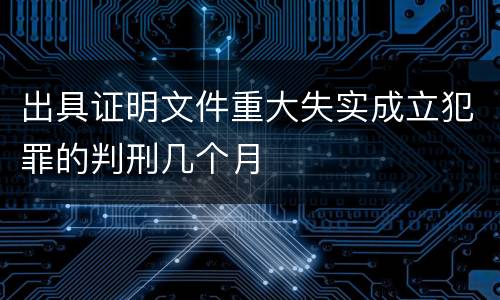 出具证明文件重大失实成立犯罪的判刑几个月