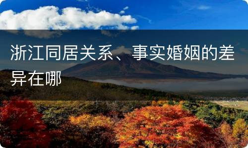 浙江同居关系、事实婚姻的差异在哪