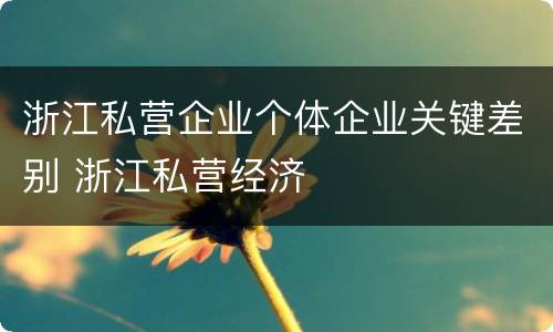 浙江私营企业个体企业关键差别 浙江私营经济