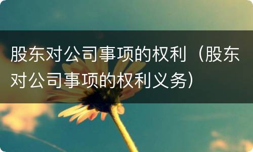 股东对公司事项的权利（股东对公司事项的权利义务）