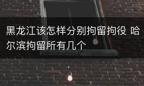 黑龙江该怎样分别拘留拘役 哈尔滨拘留所有几个