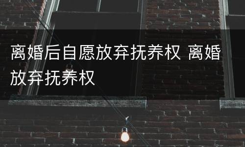 离婚后自愿放弃抚养权 离婚 放弃抚养权