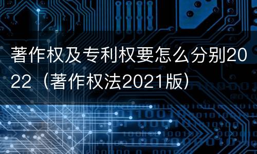 著作权及专利权要怎么分别2022（著作权法2021版）