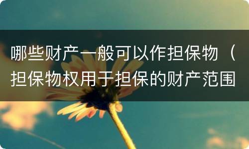 哪些财产一般可以作担保物（担保物权用于担保的财产范围）