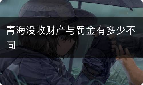 青海没收财产与罚金有多少不同