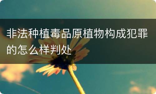 非法种植毒品原植物构成犯罪的怎么样判处