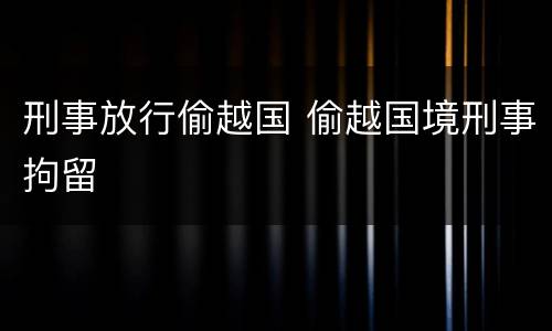刑事放行偷越国 偷越国境刑事拘留