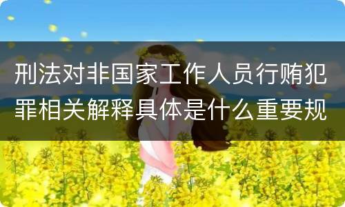 刑法对非国家工作人员行贿犯罪相关解释具体是什么重要规定