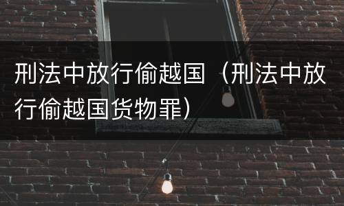 刑法中放行偷越国（刑法中放行偷越国货物罪）