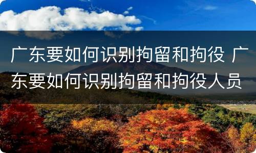 广东要如何识别拘留和拘役 广东要如何识别拘留和拘役人员