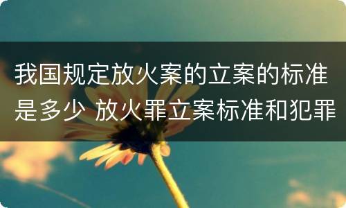 我国规定放火案的立案的标准是多少 放火罪立案标准和犯罪构成