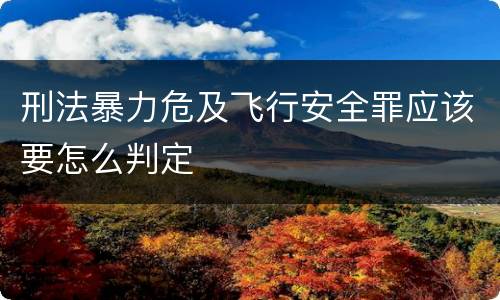 刑法暴力危及飞行安全罪应该要怎么判定