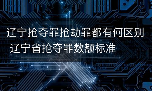 辽宁抢夺罪抢劫罪都有何区别 辽宁省抢夺罪数额标准