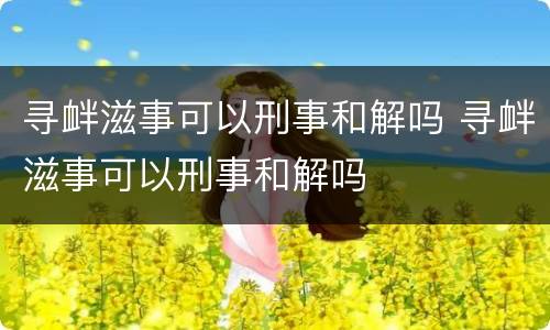 寻衅滋事可以刑事和解吗 寻衅滋事可以刑事和解吗