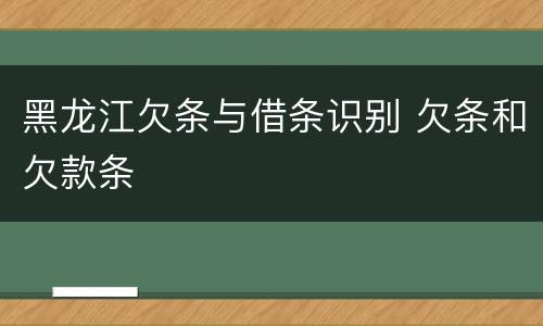 黑龙江欠条与借条识别 欠条和欠款条